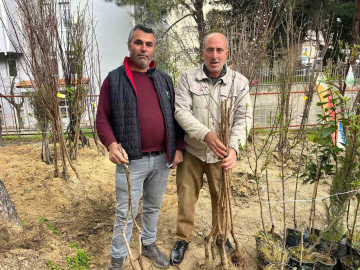 Buldan’ın bereketli toprakları fidanlarla canlanıyor