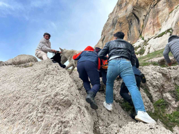 Van’da kayalıklarda mahsur kalan eşek kurtarıldı