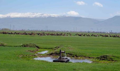Tarımda önder üretici modeli vurgusu