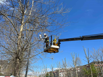 Esenyurt Belediyesi’nden yeşil alanlara bahar dokunuşu