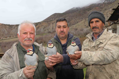 Atadan toruna kalan miras:  "Baskın keklik" yöntemiyle dev envanter