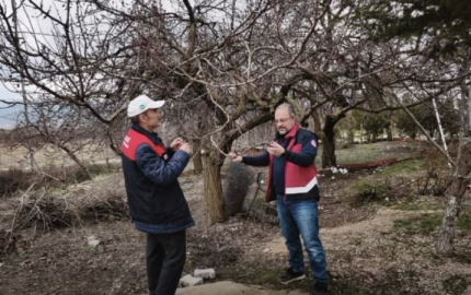 Elazığ’da zirai don mesaisi