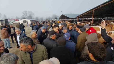 Hayvan pazarında hararetli pazarlık kamerada