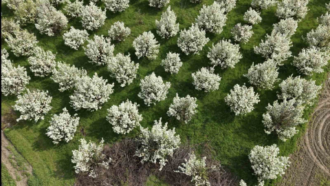 İnegöl’de kartpostallık görüntüler