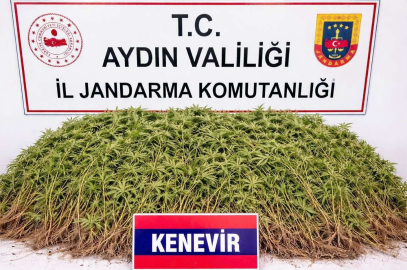 Nazilli’de uyuşturucu operasyonu