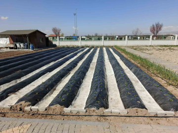 Büyükşehirin Doğal Ürünler Bahçesi ve Pazarı’nda yeni sezon hazırlığı