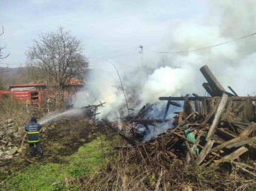 Araç yangını odunluğa sıçradı