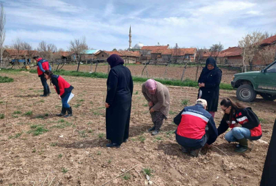Aslanapa’da çiftçilere yönelik eğitim ve saha çalışmaları gerçekleştirildi