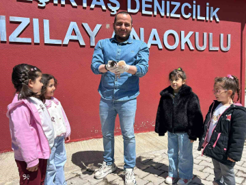 Anaokulunun misafiri ‘Fındık’ 6 yavru dünyaya getirdi