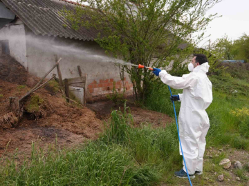 Düzce’de daha uçmadan bitirmek için mücadele başladı
