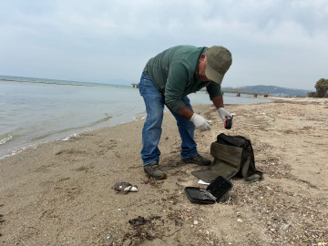 Kuşadası’nda iki deniz kaplumbağası ölü bulundu