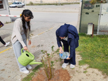 Emet MYO kampüsüne gül fidanı dikimi