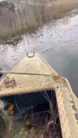 ‘Nilüfer Cenneti’nde kaçak avcılığa ‘dur’ denildi