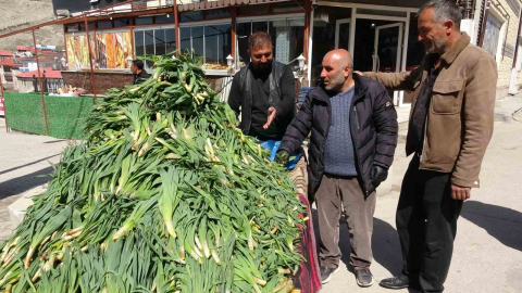 Van’da şifa kaynağı ‘çiriş otu’ tezgahlardaki yerini aldı