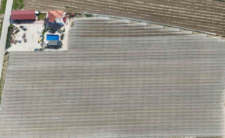 Kadın girişimciden tarımda akılcı çözüm