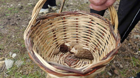 Beyşehir’de doğa tutkunları hem yürüyüş hem de kuzugöbeği için buluştu