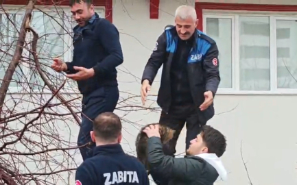 Ağaçta mahsur kalan kediye zabıtadan kurtarma operasyonu