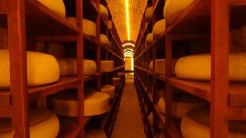 Kars Peynir Müzesi turistlerin gözdesi oldu