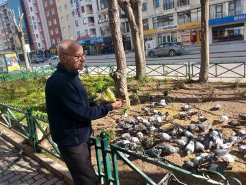 Dükkanının önüne gelen onlarca güvercini doyuruyor