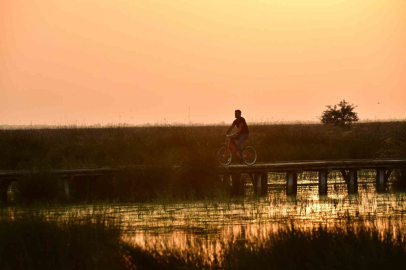 Kızılırmak Deltası Kuş Cenneti’nde bahar coşkusu