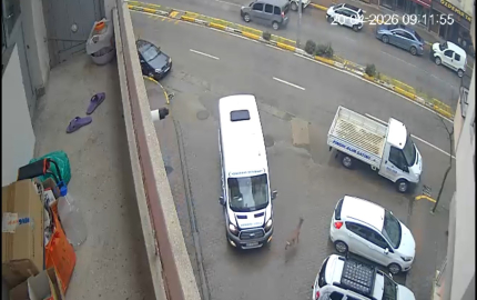 Karaca Giresun’un Görele ilçesinde şehir merkezine indi: iki araca çarptı, gözden kayboldu