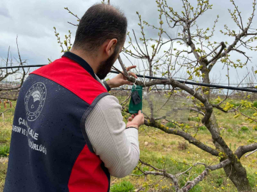 Kahverengi kokarca için tuzak takip çalışması