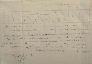 Çanakkale’de 1915 yılına ait sağlık raporu gün yüzüne çıktı
