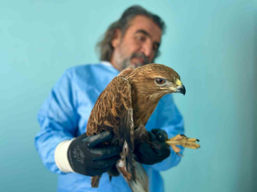 Van Gölü Havzası’ndaki yaban hayatı emin ellerde