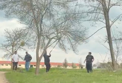 Eskişehir’de ‘mangal için ağaç dalını kırmaya çalıştılar’ iddiası