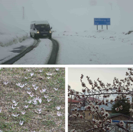 Van’da iki mevsim bir arada: Bir yanda bahar, diğer yanda kış