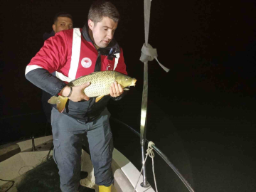 Samsun’da kaçak avcılığa geçit yok: 60 kiloluk sazan geri salındı