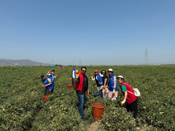 Gönüllü Hasat Etkinliği 2026 yılı takvimi açıklandı