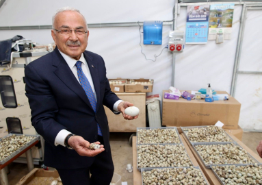 Başkan Güler: "Ordumuza yeni bir sektör hazırlıyoruz"