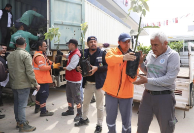 Mersin’de üreticiye avokado fidanı ve destek dağıtımı