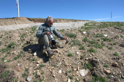 17 yeni memeli türü keşfedildi