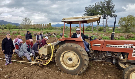 Başkan Pütün tütün sezonun başlamasıyla birlikte üreticiyle tarlada buluştu