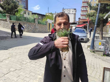 Zuzubak otu, köylüler için önemli bir gelir kapısı