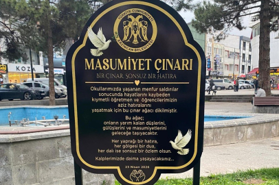 "Masumiyet Çınarları" kaybedilen canların hatırası için dikildi
