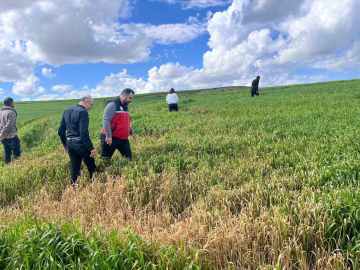 Batman’da çiftçilere ’yanlış ilaçlama’ uyarısı