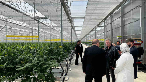 Düzce’den Seracılık İhtisas Organize Tarım Bölgesi’nde inceleme