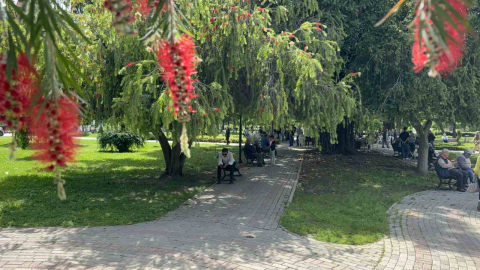 Adana’da termometreler 41 dereceyi gösterdi