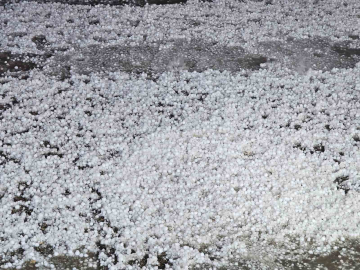 Elazığ’da dolu etkili oldu