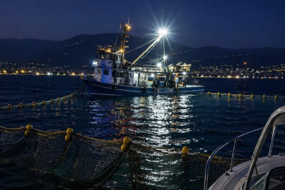 Gemlik Körfezi’nde sardalya avcılığı başladı

