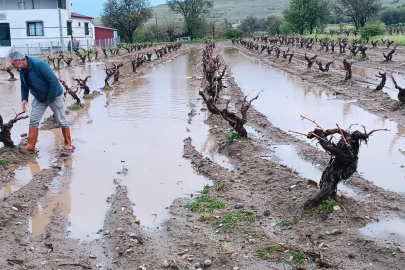 Elazığ’da dolu yağışı sonrası hasar tespit çalışması
