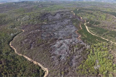 Beykoz’daki yangının bilançosu gün ağarınca ortaya çıktı
