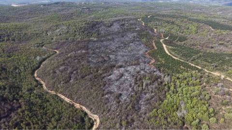 Beykoz’daki yangının bilançosu gün ağarınca ortaya çıktı