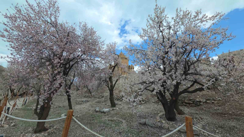 Akdamar Adası’nda renk cümbüşü