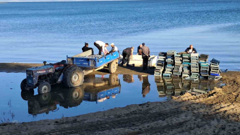İznik Gölü’nde bereketli sezon...Gümüş balığında yüzler gülüyor