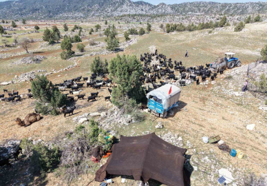 Toroslar’da Yörük göçü başladı: Sarıkeçililer yayla yolunda