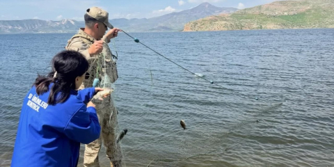 Şırnak’ta yasak dönemde yakalanan balıklar doğaya kazandırıldı